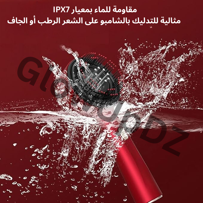 Brosse de Massage de Luxe Pro™